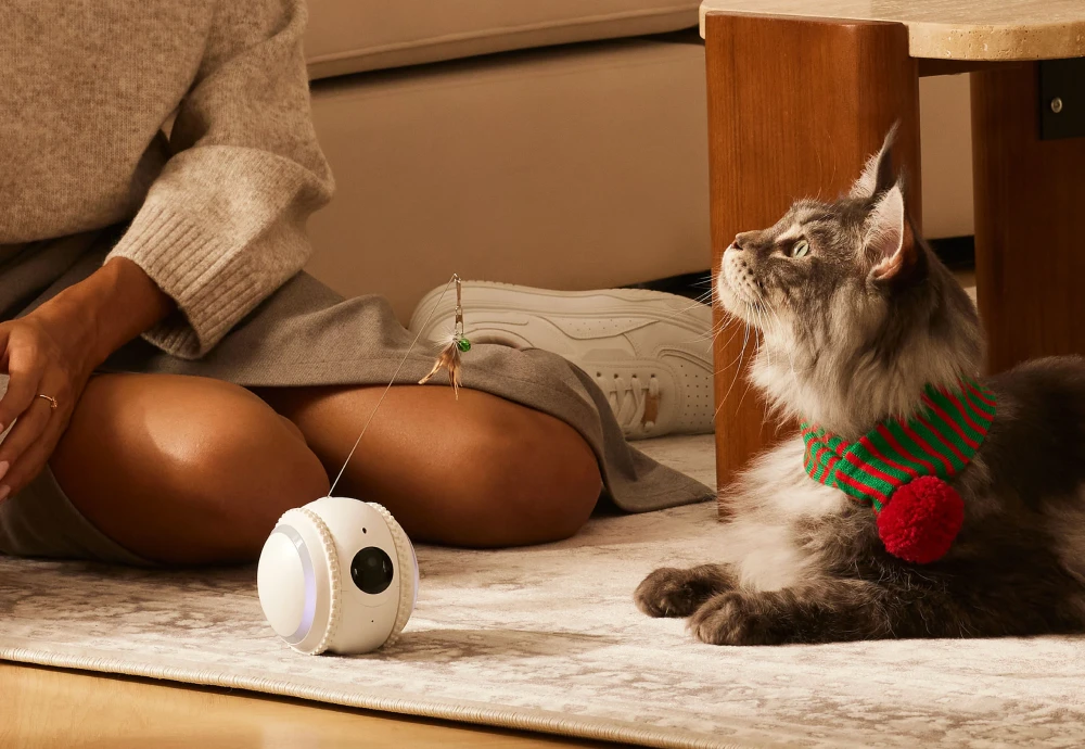 best surveillance camera for pets